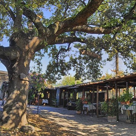 Selci La Vecchia Quercia住宿加早餐旅馆 外观 照片