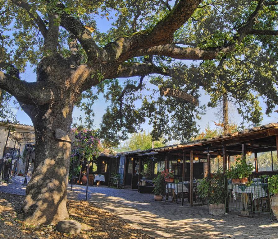Selci La Vecchia Quercia住宿加早餐旅馆 外观 照片